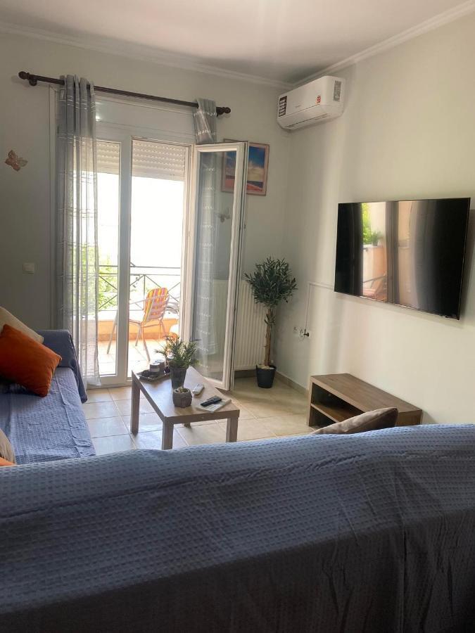 Apartmán Dimitris House 2 Alepou Exteriér fotografie